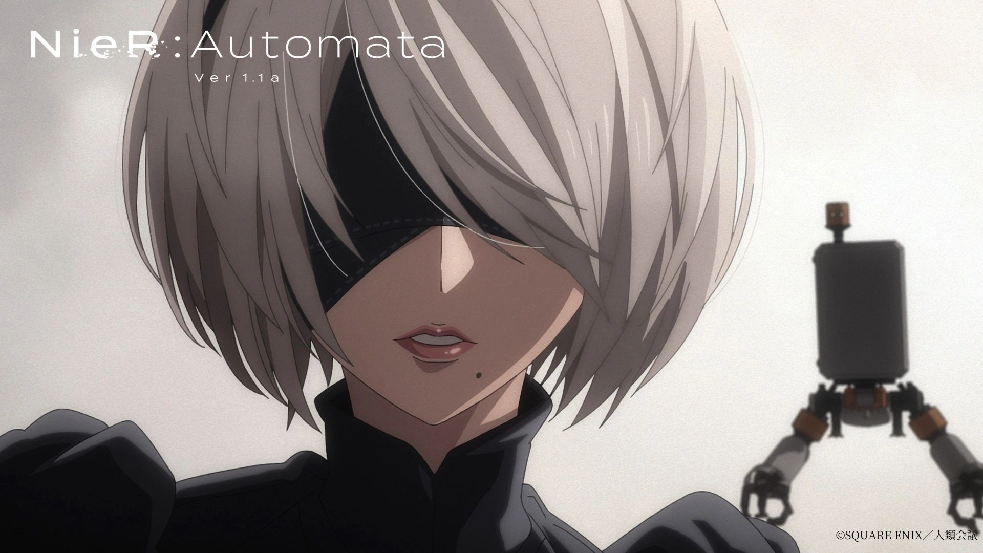 NieR: Automata Ver1.1a